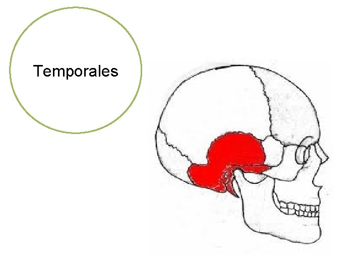 Temporales 