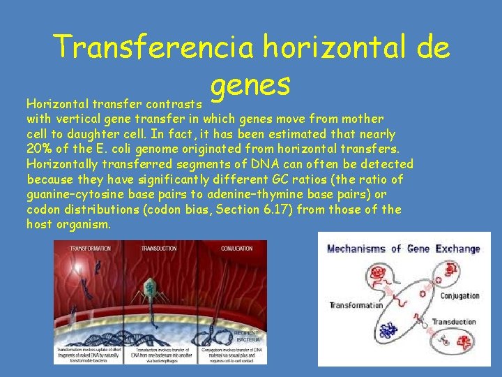 Transferencia horizontal de genes Horizontal transfer contrasts with vertical gene transfer in which genes