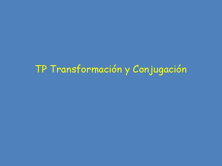 TP Transformación y Conjugación 