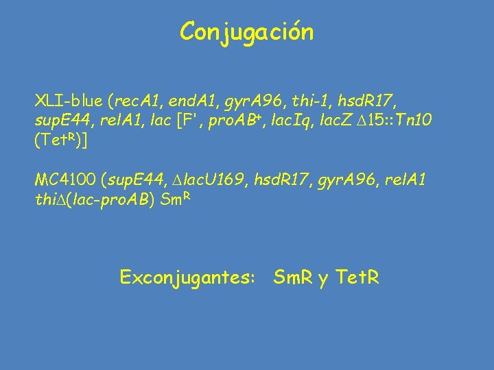 Conjugación XLI-blue (rec. A 1, end. A 1, gyr. A 96, thi-1, hsd. R
