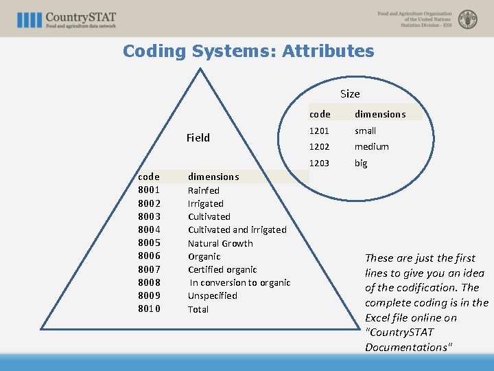 Coding Systems: Attributes Size Field code 8001 8002 8003 8004 8005 8006 8007 8008