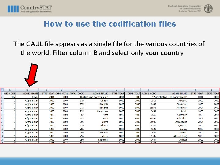 How to use the codification files The GAUL file appears as a single file