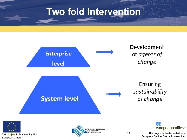 Two fold Intervention Enterprise level Development of agents of change Ensuring sustainability of change
