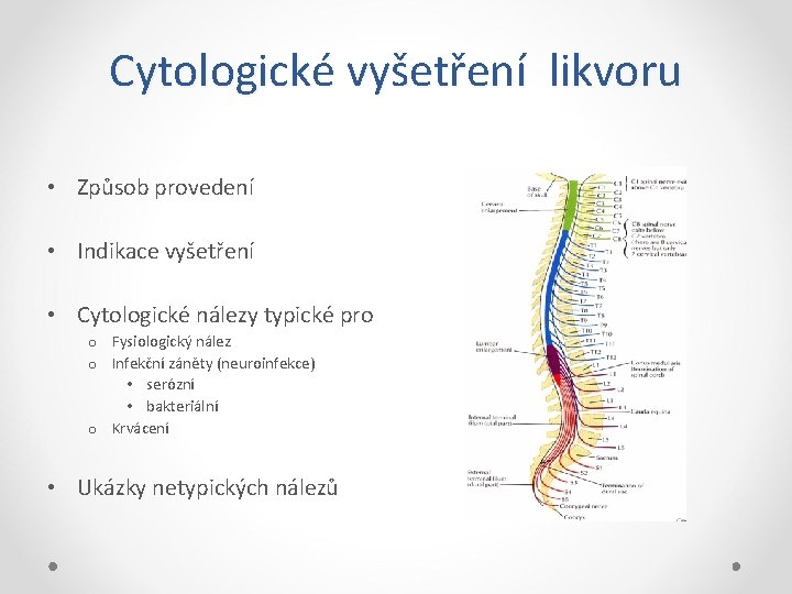 Cytologické vyšetření likvoru • Způsob provedení • Indikace vyšetření • Cytologické nálezy typické pro