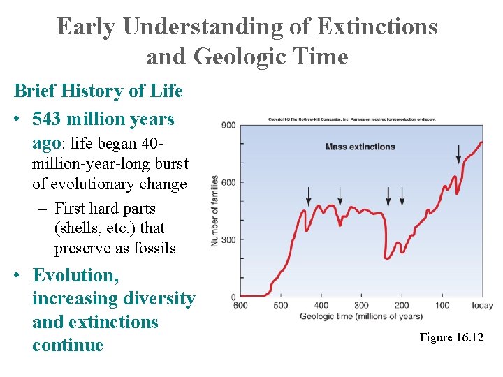 Early Understanding of Extinctions and Geologic Time Brief History of Life • 543 million
