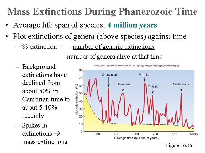 Mass Extinctions During Phanerozoic Time • Average life span of species: 4 million years