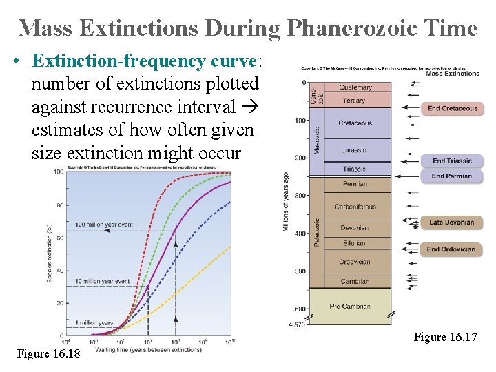 Mass Extinctions During Phanerozoic Time • Extinction-frequency curve: number of extinctions plotted against recurrence