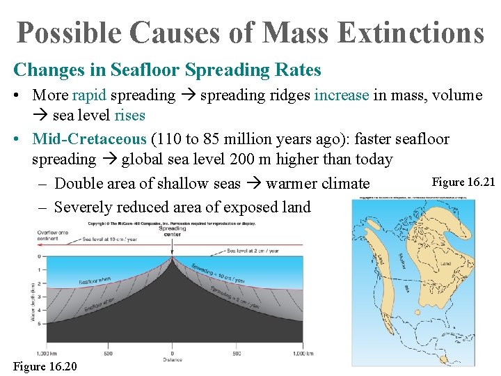 Possible Causes of Mass Extinctions Changes in Seafloor Spreading Rates • More rapid spreading