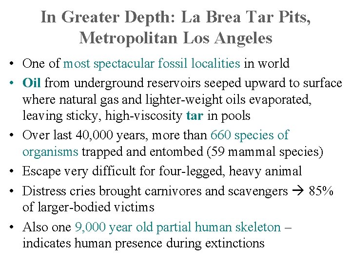 In Greater Depth: La Brea Tar Pits, Metropolitan Los Angeles • One of most