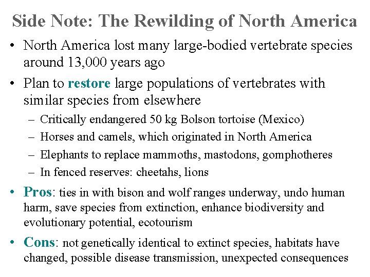 Side Note: The Rewilding of North America • North America lost many large-bodied vertebrate
