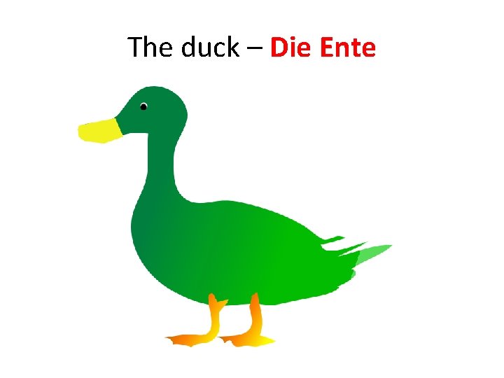 The duck – Die Ente The duck – Die Ente