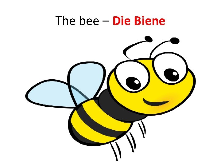 The bee – Die Biene The bee – Die Biene