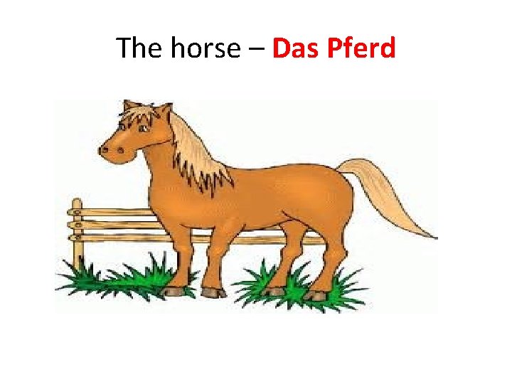 The horse – Das Pferd The horse – Das Pferd