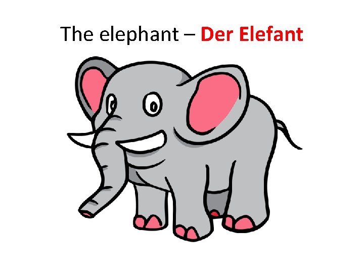 The elephant – Der Elefant The elephant – Der Elefant