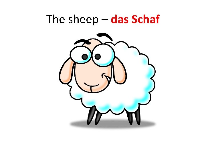 The sheep – das Schaf The sheep – das Schaf