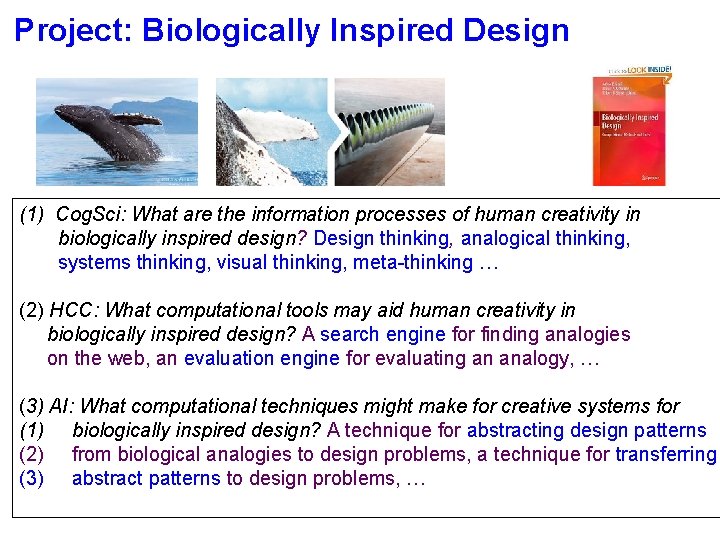 Project: Biologically Inspired Design (1) Cog. Sci: What are the information processes of human