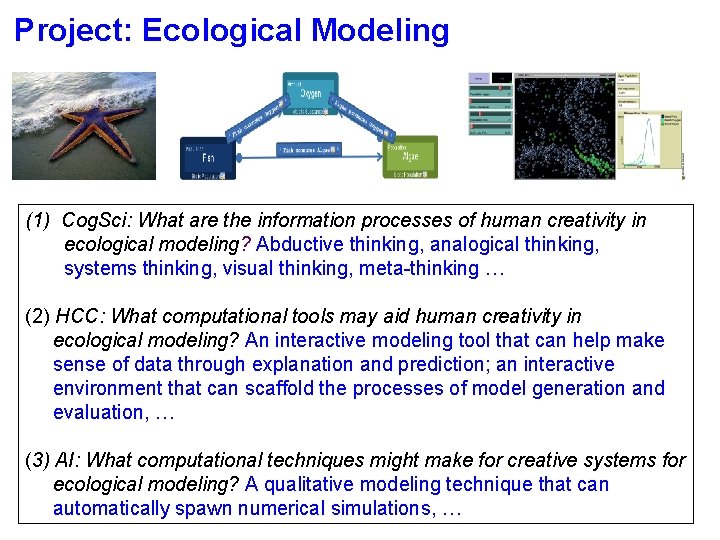 Project: Ecological Modeling (1) Cog. Sci: What are the information processes of human creativity