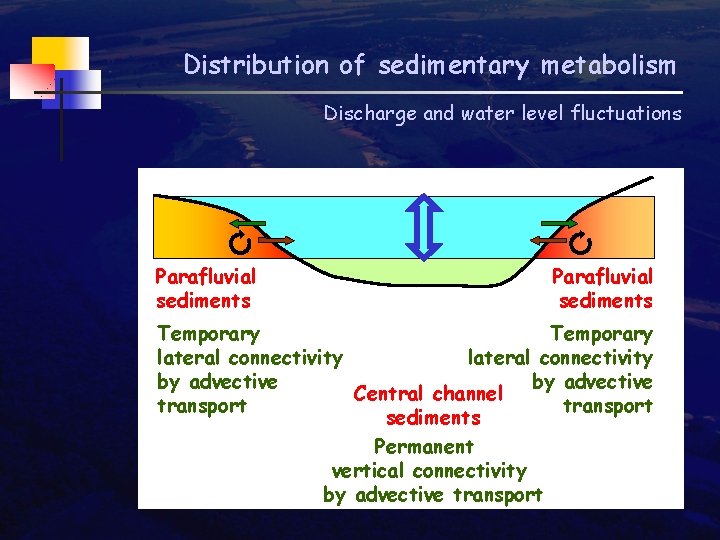 River Diffluent Functions of hydromorphological structures in large riverecosystems with