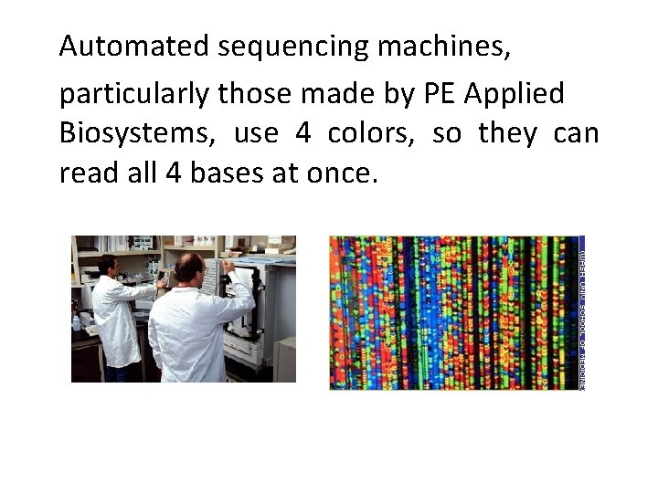 Automated sequencing machines, particularly those made by PE Applied Biosystems, use 4 colors, so Automated sequencing machines, particularly those made by PE Applied Biosystems, use 4 colors, so