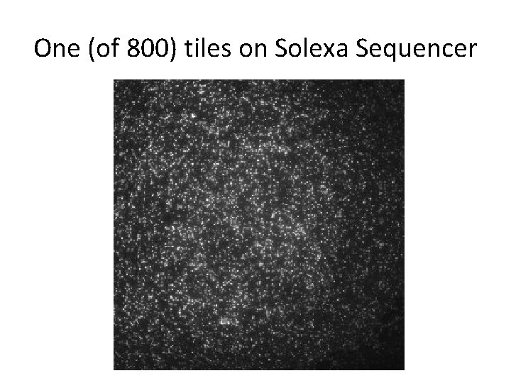 One (of 800) tiles on Solexa Sequencer One (of 800) tiles on Solexa Sequencer