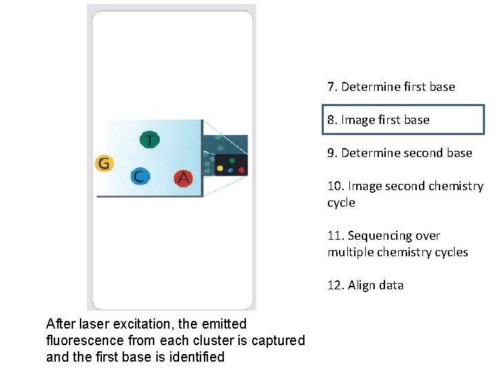 7. Determine first base 8. Image first base 9. Determine second base 10. Image 7. Determine first base 8. Image first base 9. Determine second base 10. Image