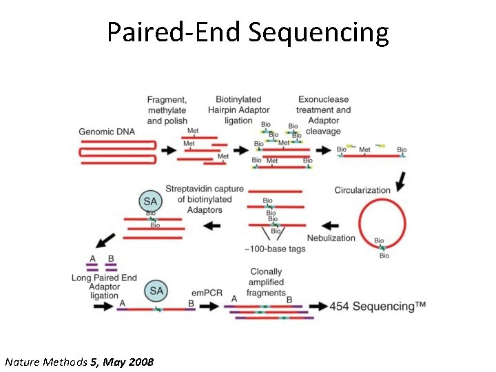 Paired-End Sequencing Nature Methods 5, May 2008 Paired-End Sequencing Nature Methods 5, May 2008