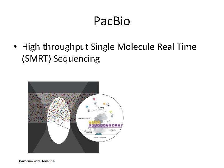 Pac. Bio • High throughput Single Molecule Real Time (SMRT) Sequencing Pac. Bio • High throughput Single Molecule Real Time (SMRT) Sequencing