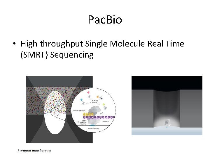 Pac. Bio • High throughput Single Molecule Real Time (SMRT) Sequencing Pac. Bio • High throughput Single Molecule Real Time (SMRT) Sequencing