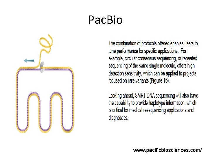 Pac. Bio www. pacificbiosciences. com/ Pac. Bio www. pacificbiosciences. com/