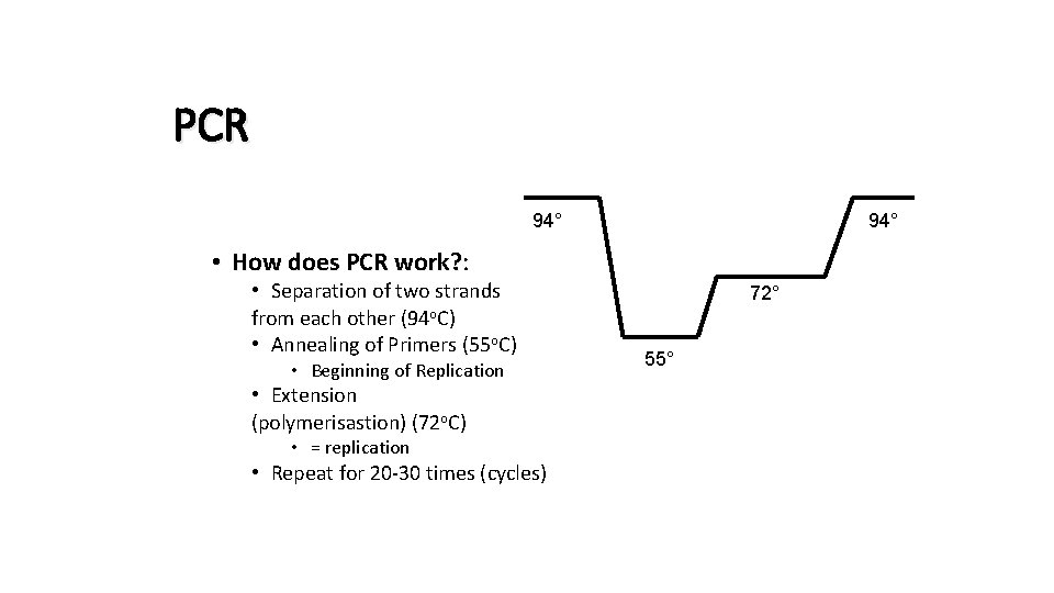 PCR 94° • How does PCR work? : work? • Separation of two strands