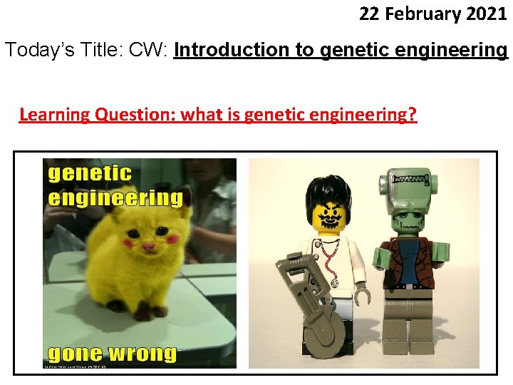 22 February 2021 Today’s Title: CW: Introduction to genetic engineering Learning Question: what is