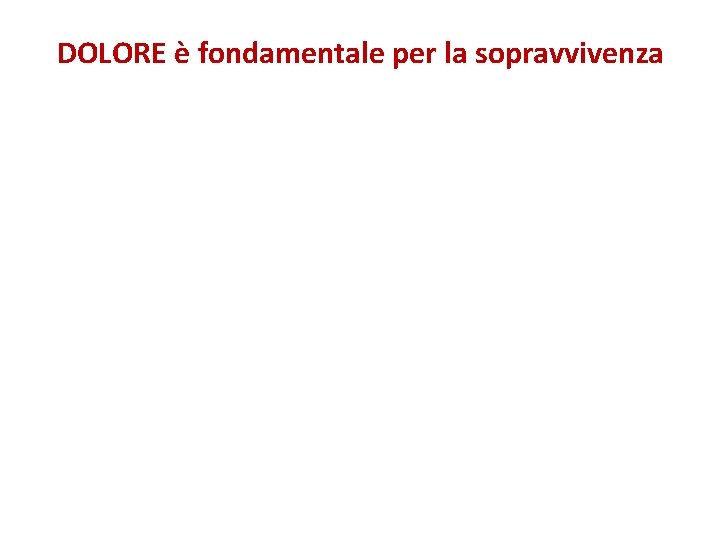 DOLORE è fondamentale per la sopravvivenza 
