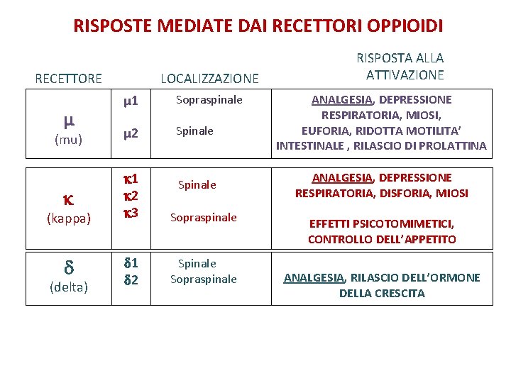 RISPOSTE MEDIATE DAI RECETTORI OPPIOIDI RECETTORE µ LOCALIZZAZIONE µ 1 Sopraspinale Spinale (mu) µ