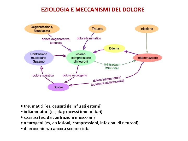 EZIOLOGIA E MECCANISMI DEL DOLORE • traumatici (es, causati da influssi esterni) • infiammatori