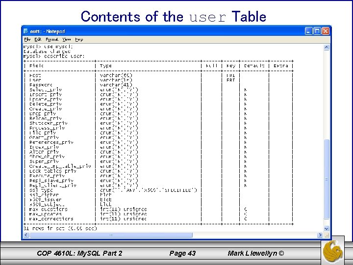 Contents of the user Table COP 4610 L: My. SQL Part 2 Page 43