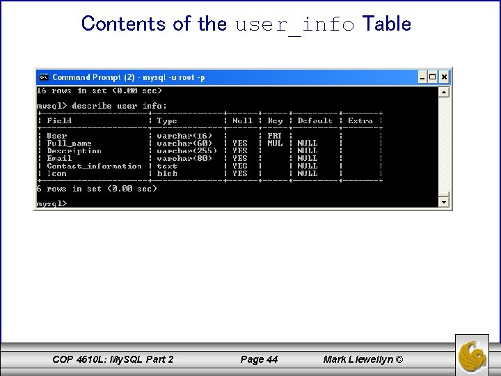 Contents of the user_info Table COP 4610 L: My. SQL Part 2 Page 44