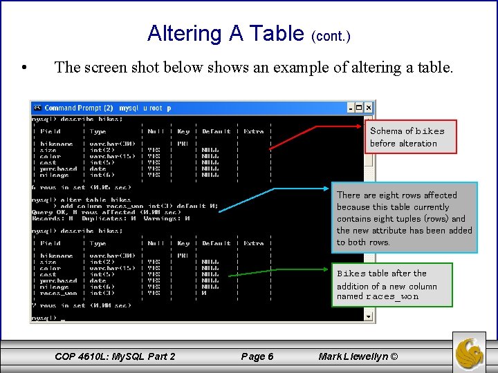 Altering A Table (cont. ) • The screen shot below shows an example of