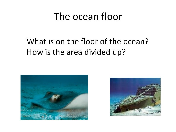 The ocean floor What is on the floor of the ocean? How is the