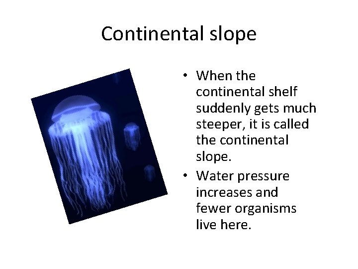 Continental slope • When the continental shelf suddenly gets much steeper, it is called