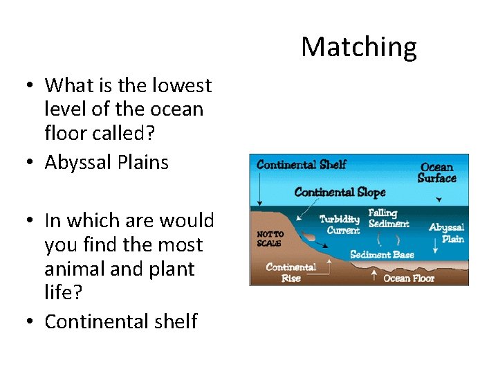 Matching • What is the lowest level of the ocean floor called? • Abyssal