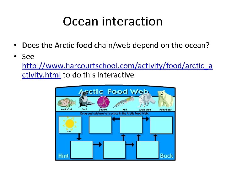 Ocean interaction • Does the Arctic food chain/web depend on the ocean? • See