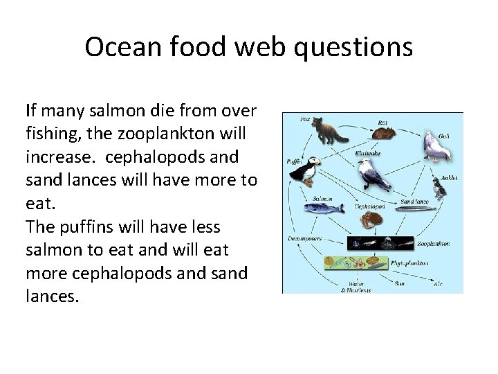 Ocean food web questions If many salmon die from over fishing, the zooplankton will