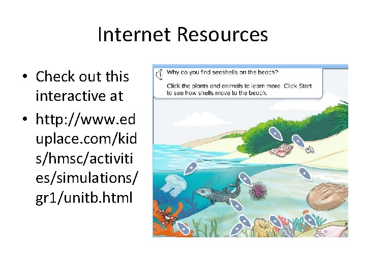 Internet Resources • Check out this interactive at • http: //www. ed uplace. com/kid
