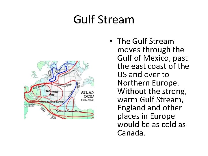 Gulf Stream • The Gulf Stream moves through the Gulf of Mexico, past the