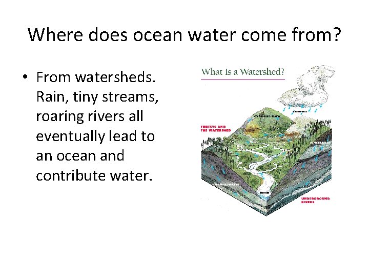 Where does ocean water come from? • From watersheds. Rain, tiny streams, roaring rivers