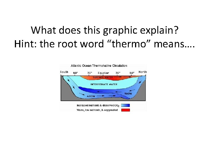 What does this graphic explain? Hint: the root word “thermo” means…. 