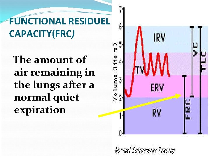 FUNCTIONAL RESIDUEL CAPACITY(FRC) The amount of air remaining in the lungs after a normal
