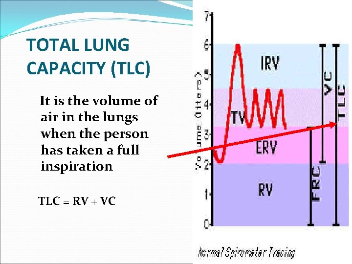 TOTAL LUNG CAPACITY (TLC) It is the volume of air in the lungs when