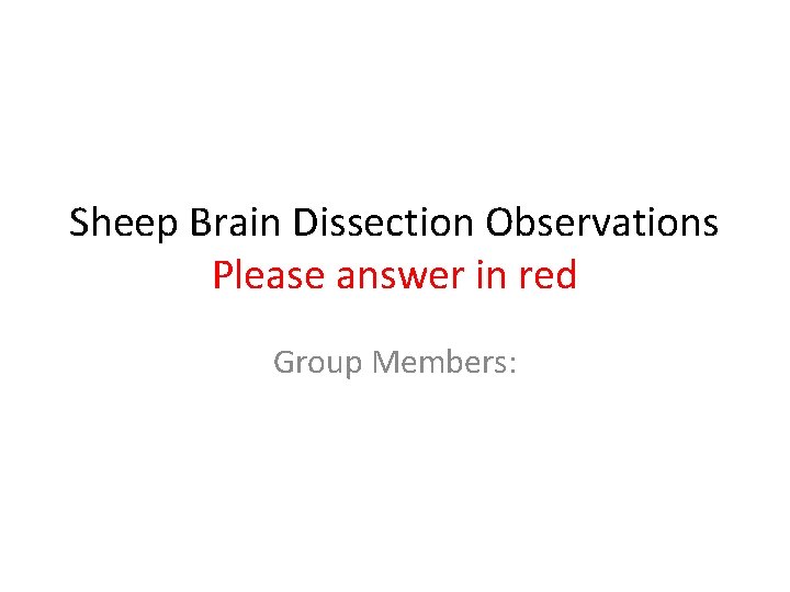 Sheep Brain Dissection Observations Please answer in red Group Members: 