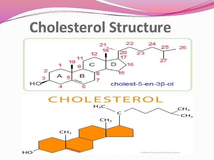 Cholesterol Structure 